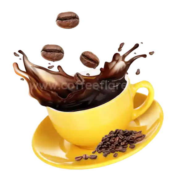 Enzyme Coffee recipe