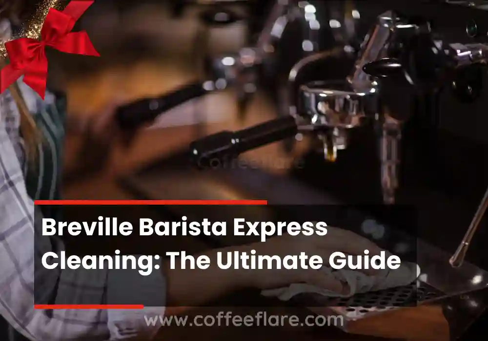 Breville Barista Express Cleaning